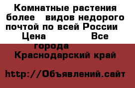 Комнатные растения более200видов недорого почтой по всей России › Цена ­ 100-500 - Все города  »    . Краснодарский край